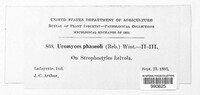 Image Associated With the Occurence